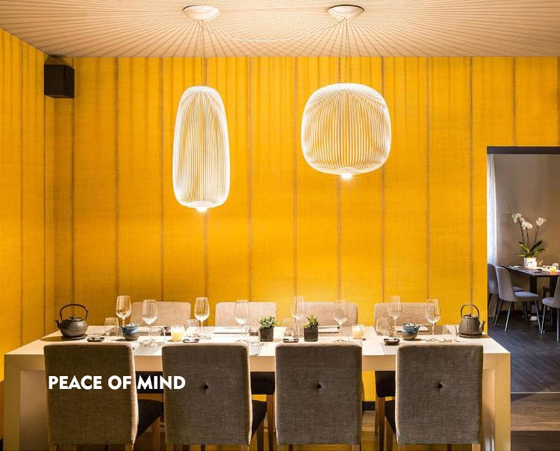 Nordic Foscarini Spokes Cage Ceiling Light - Vintiige